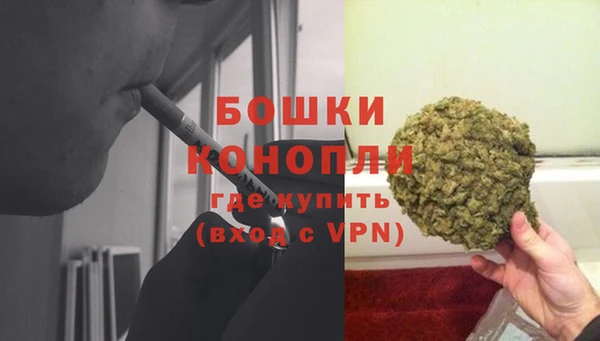сатива Надым