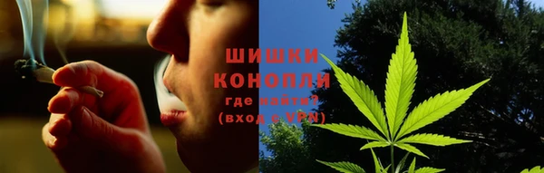 ГАЛЛЮЦИНОГЕННЫЕ ГРИБЫ Михайловка